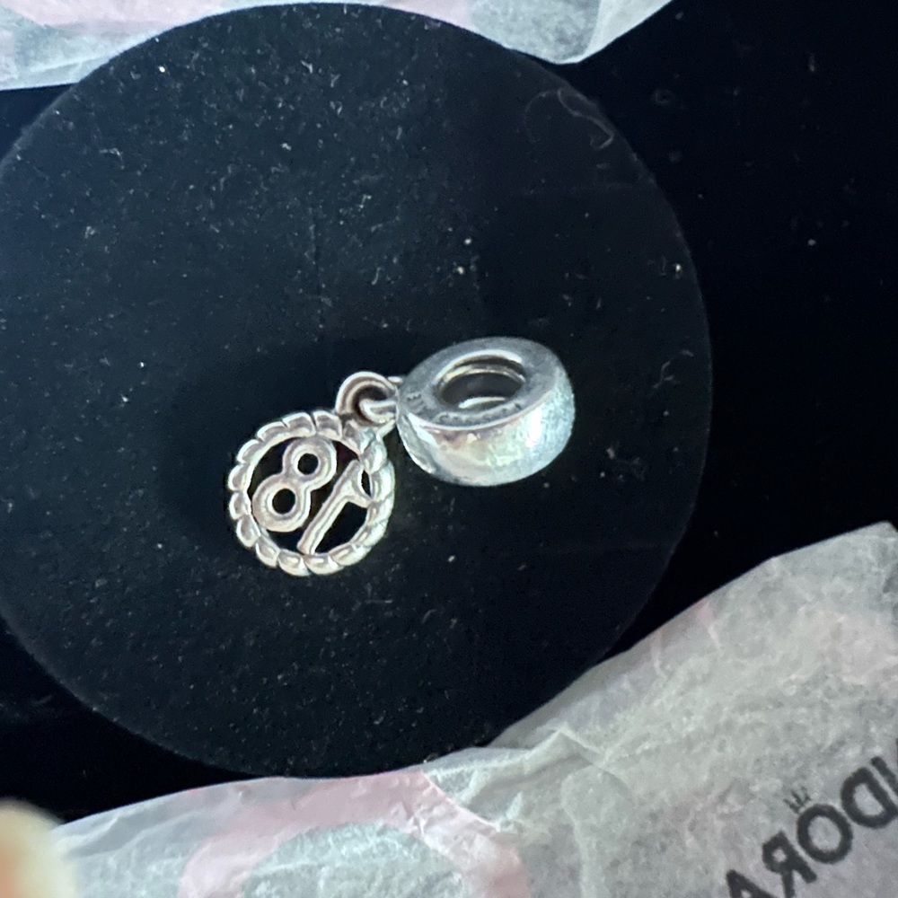 18 pandora charm